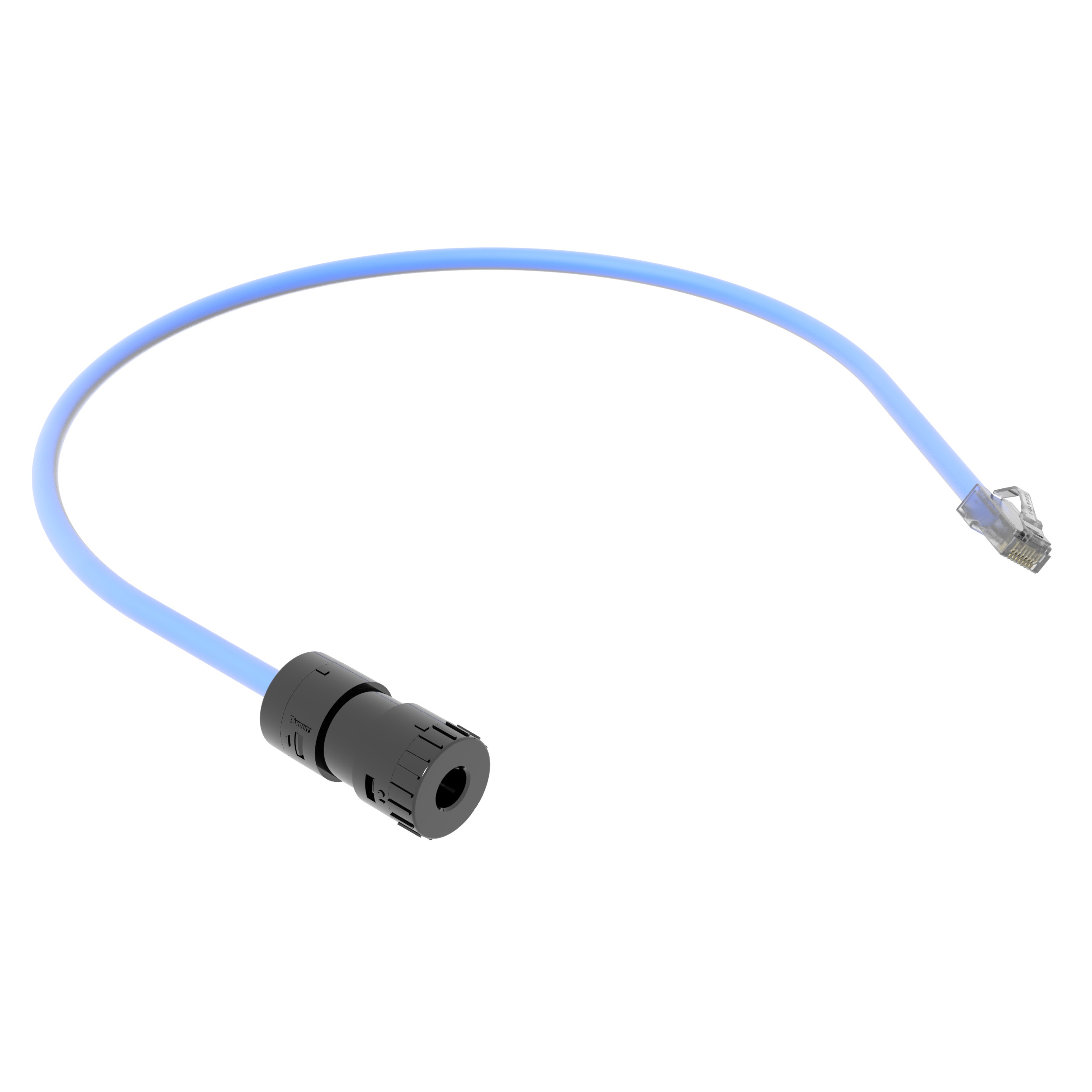 6A UTP Connector, Plenum RJ45 Cord, 0.5M, Blue