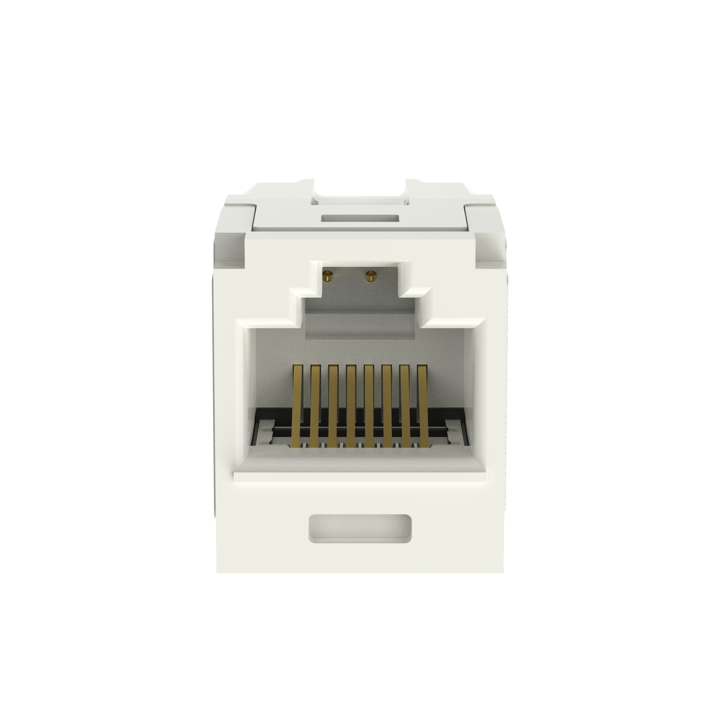 Mini-Com® Cat 6A UTP RJ45 Coupler Module, IW