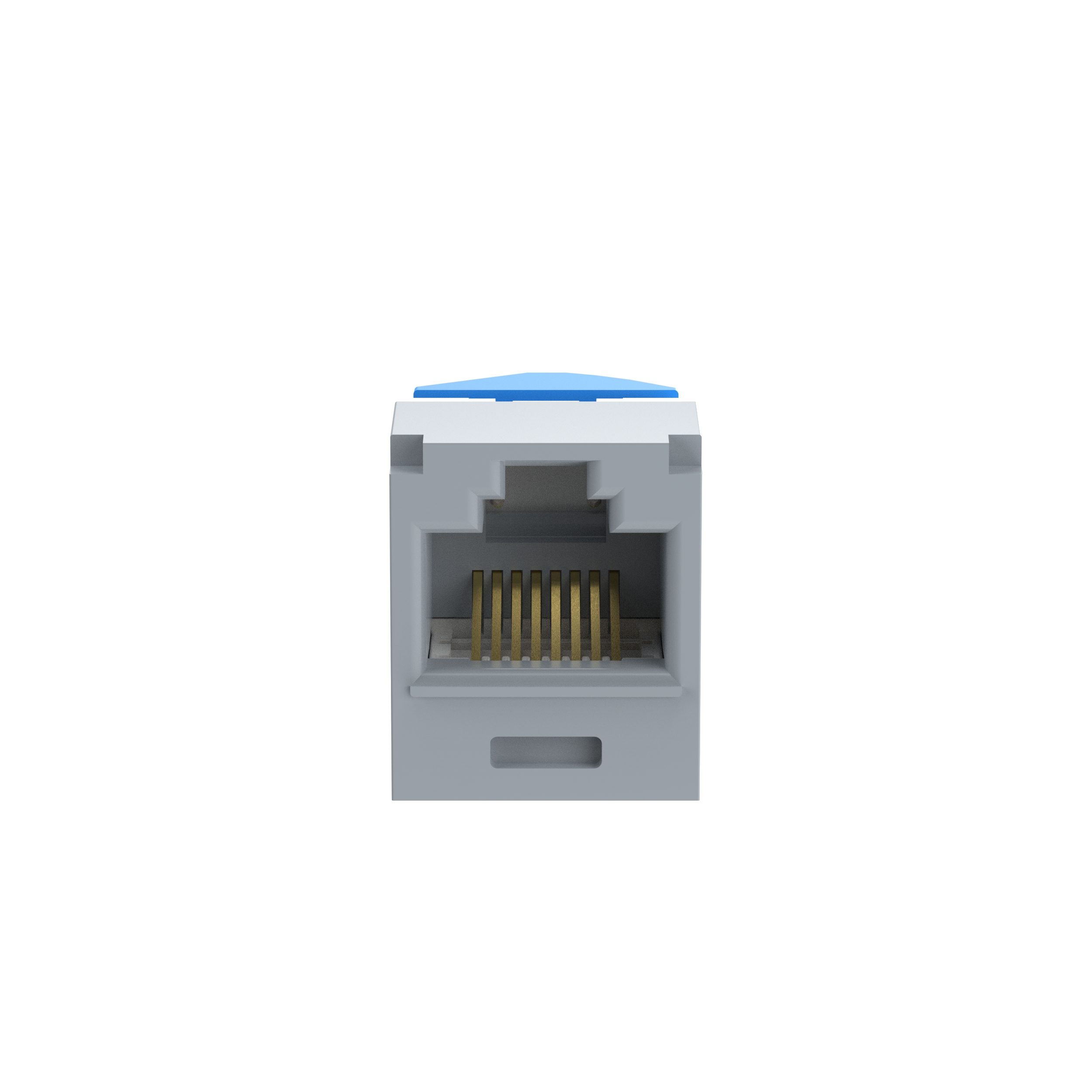Mini-Com® UTP RJ45 Cat 6A Left/Right TG Jack Module, Int'l Gray