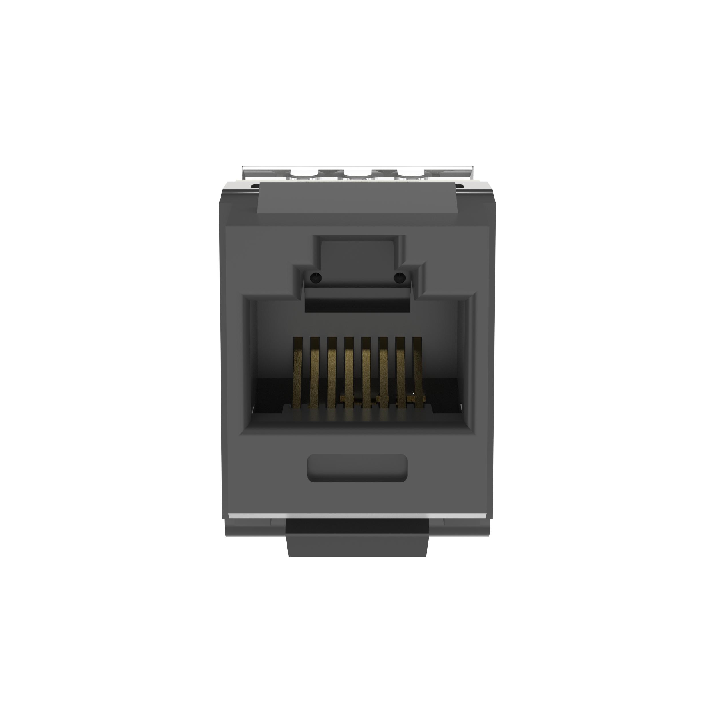 NetKey Cat 5e Punchdown Jack, Black