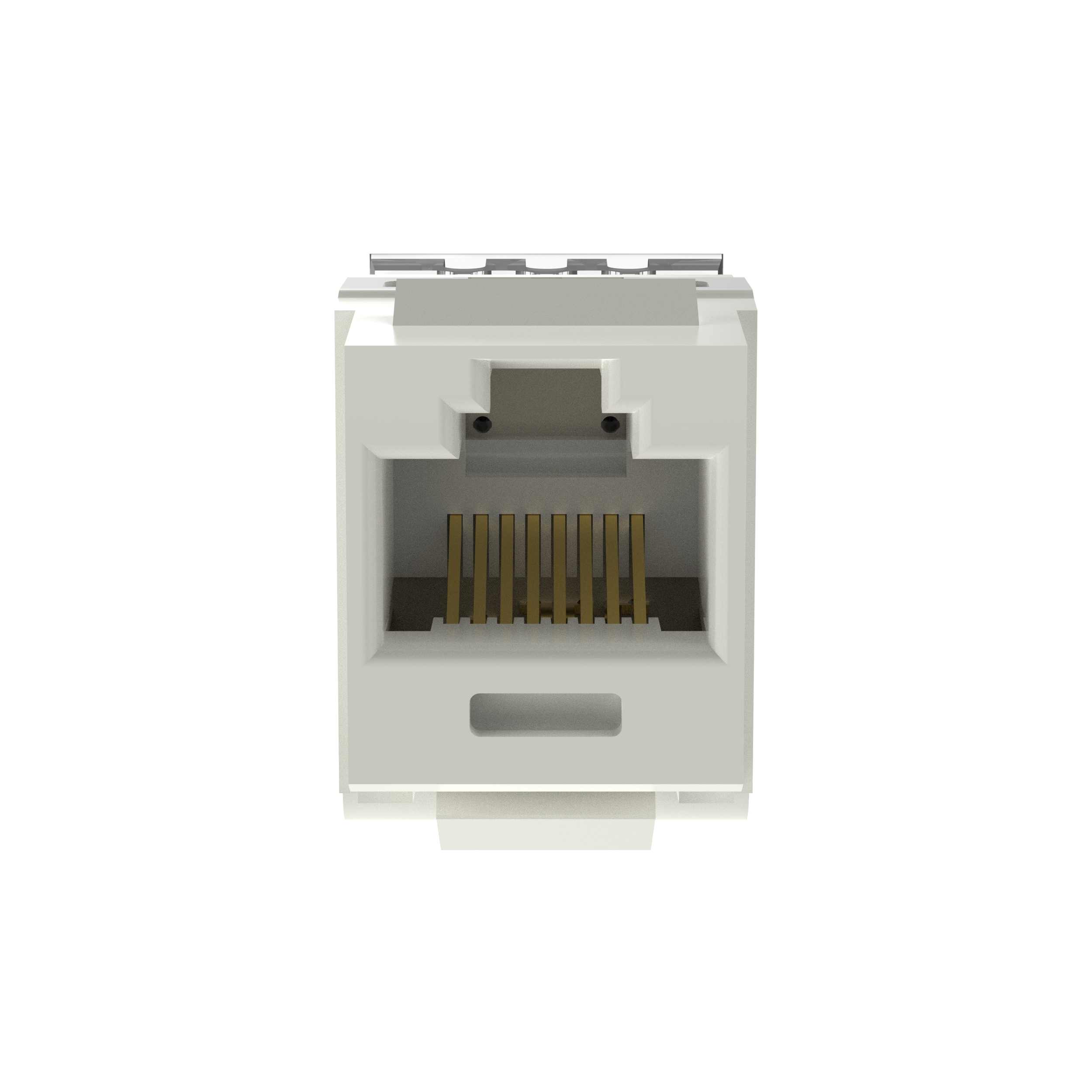 NetKey Cat 5e Punchdown Jack, Int'l White