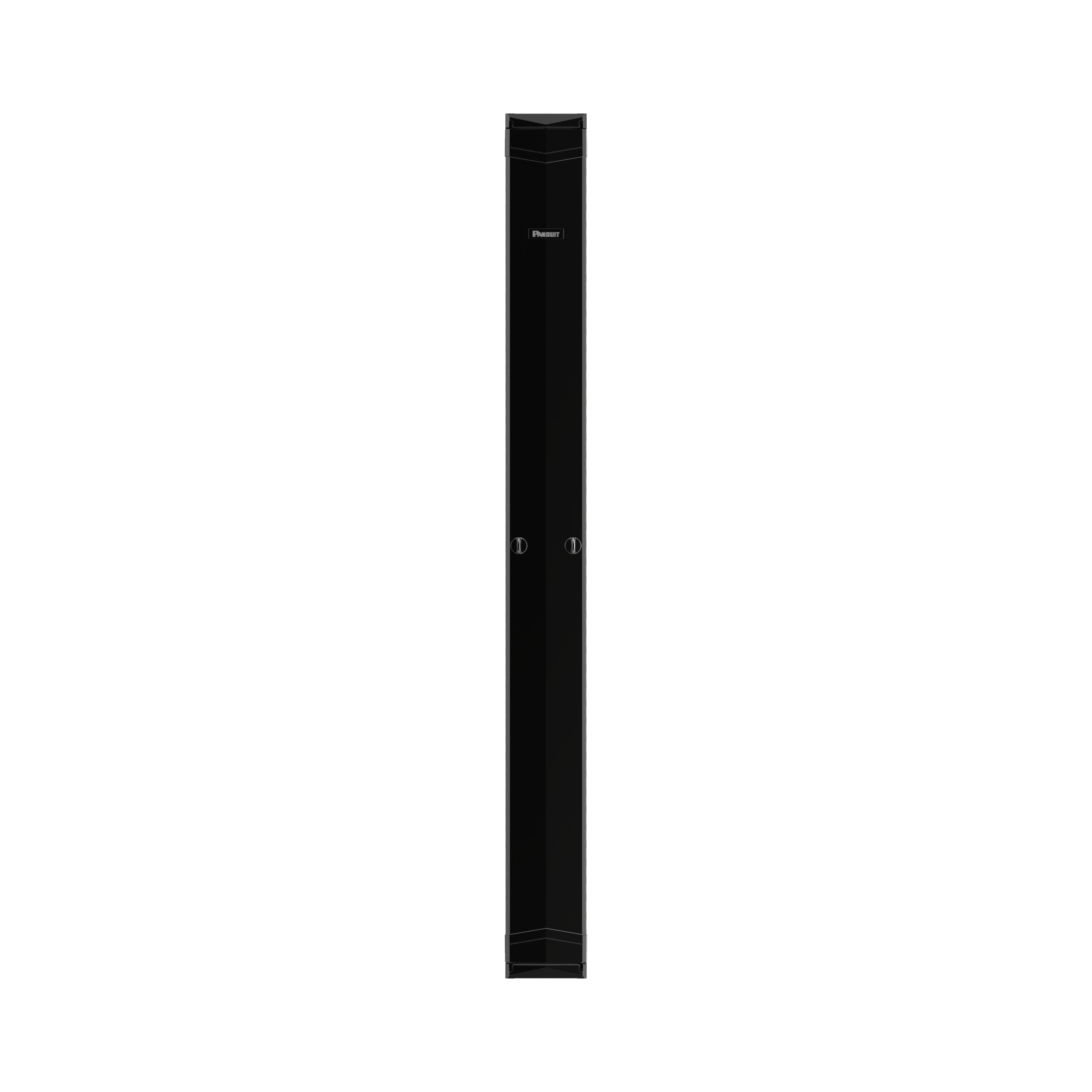 PE2V Vertical Dual-Sided Manager, 45RU, 12 in. Wide, Black