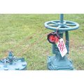 LOCKOUT, CINCH CABLE ONLY, 15FT ,EA