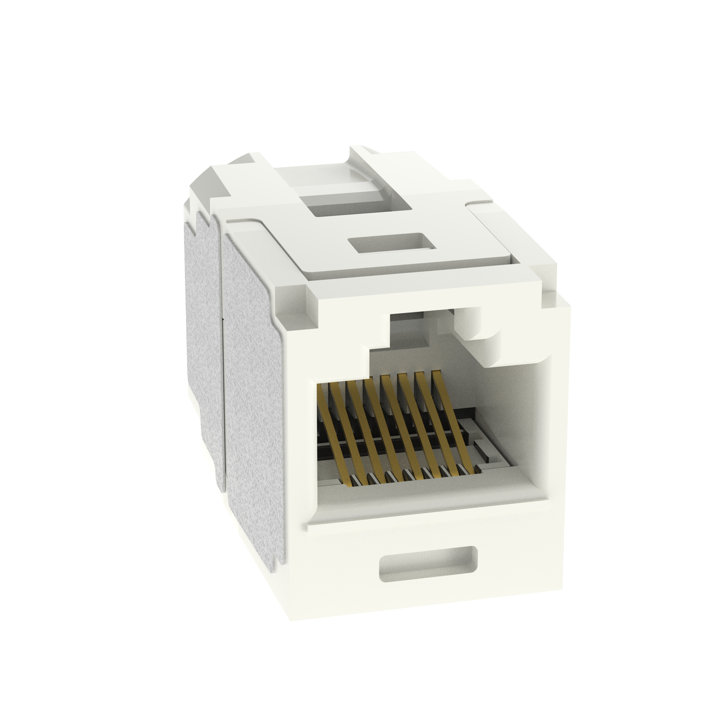 Mini-Com® Cat 6A UTP RJ45 Coupler Module, IW