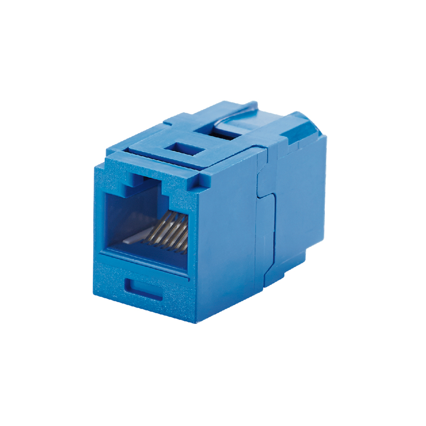 Mini-Com® UTP RJ45 Cat 6 Coupler Module, Blue