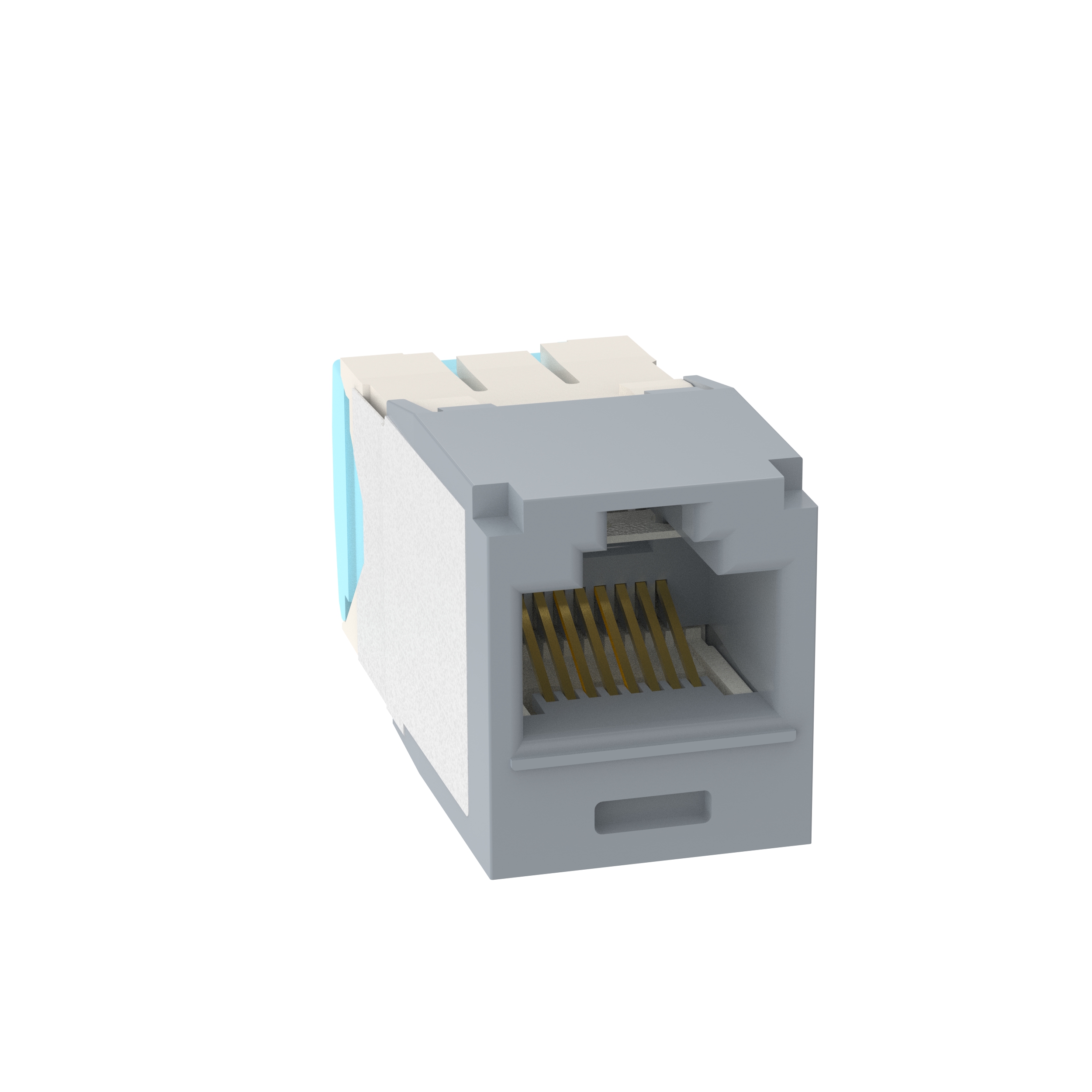 Mini-Com® UTP RJ45 Cat 6A 28/30 AWG TG Jack Module, Int'l Gray