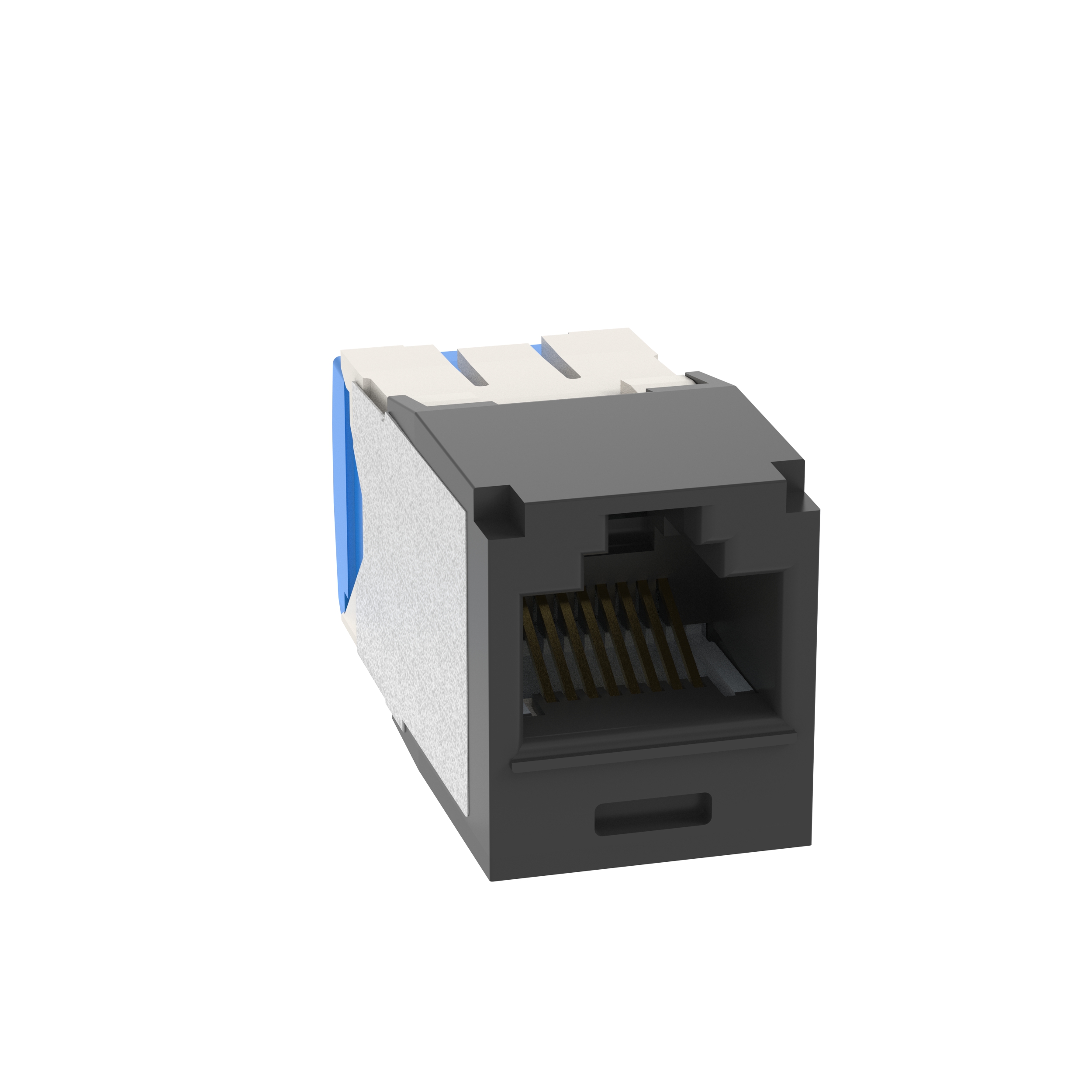 Mini-Com® UTP RJ45 Cat 6A TG Jack Module, Black