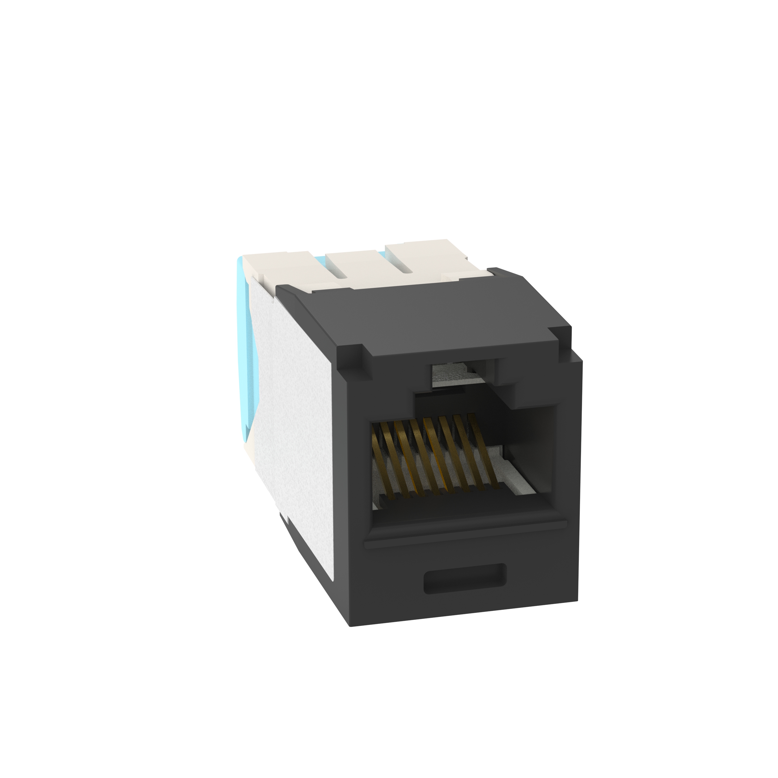 Mini-Com® UTP RJ45 Cat 6A TG Jack Module, Black