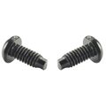 Mounting Screws