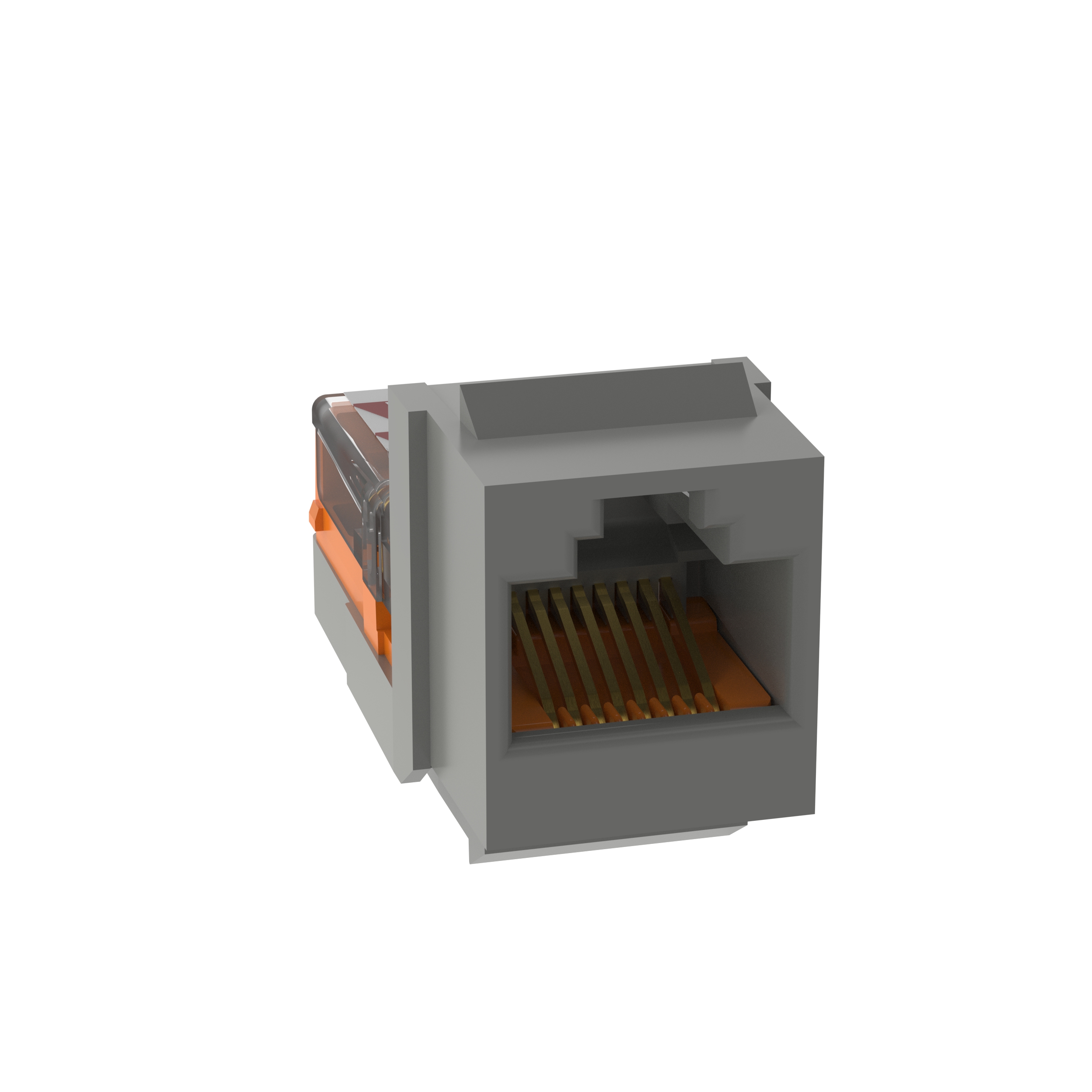 NetKey Cat 5e Leadframe Jack, Int'l Gray