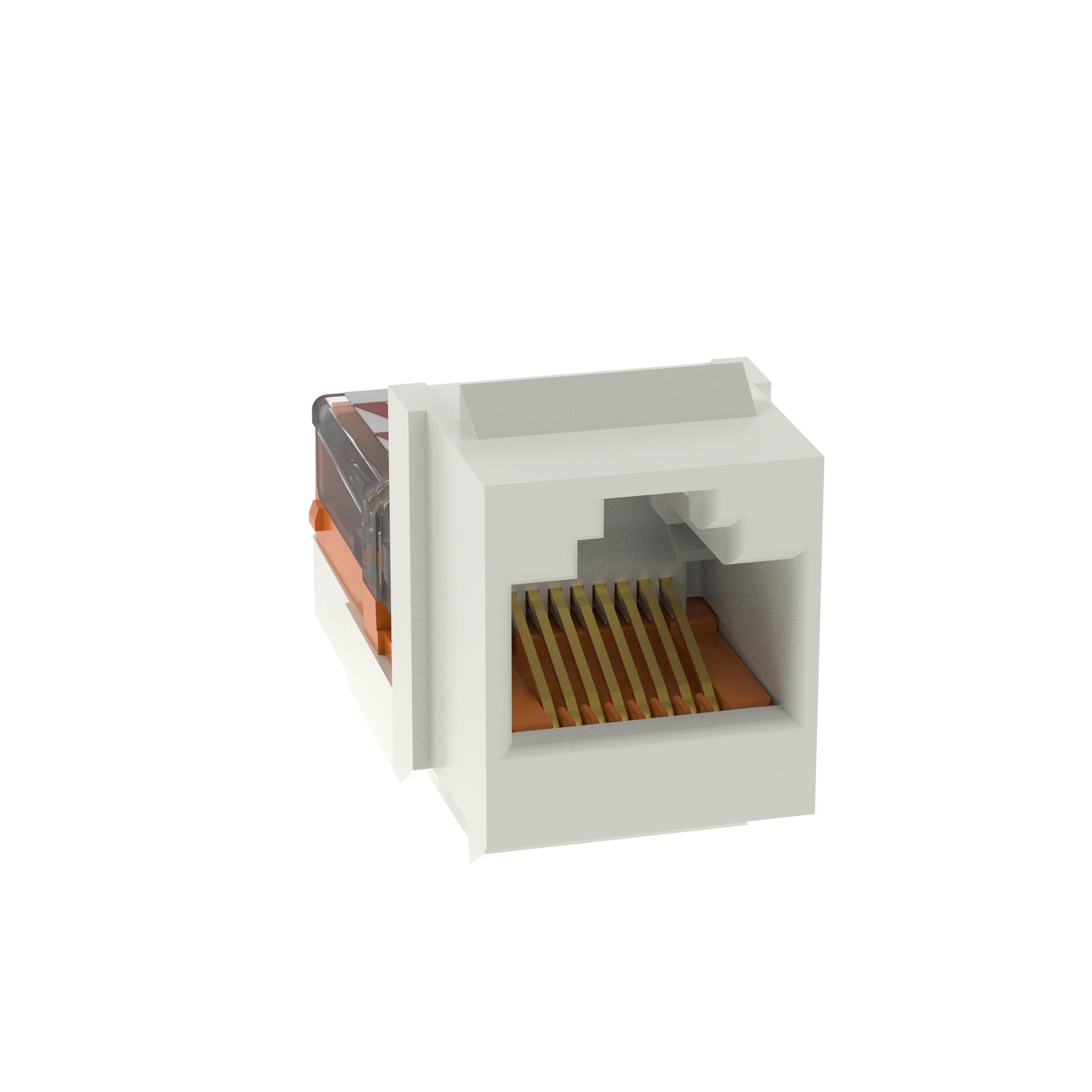NetKey Cat 5e Leadframe Jack, Int'l White