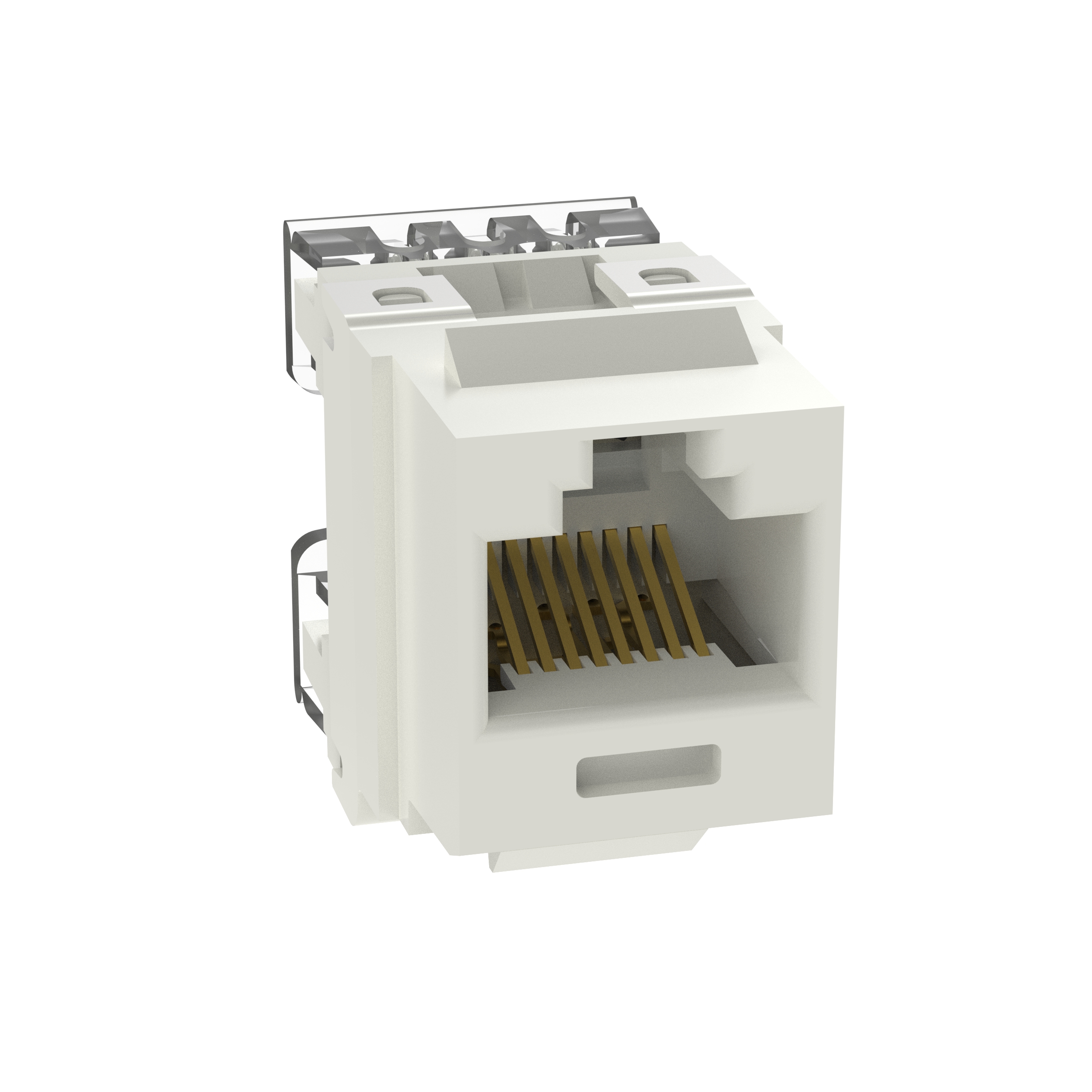 NetKey Cat 5e Punchdown Jack, Int'l White