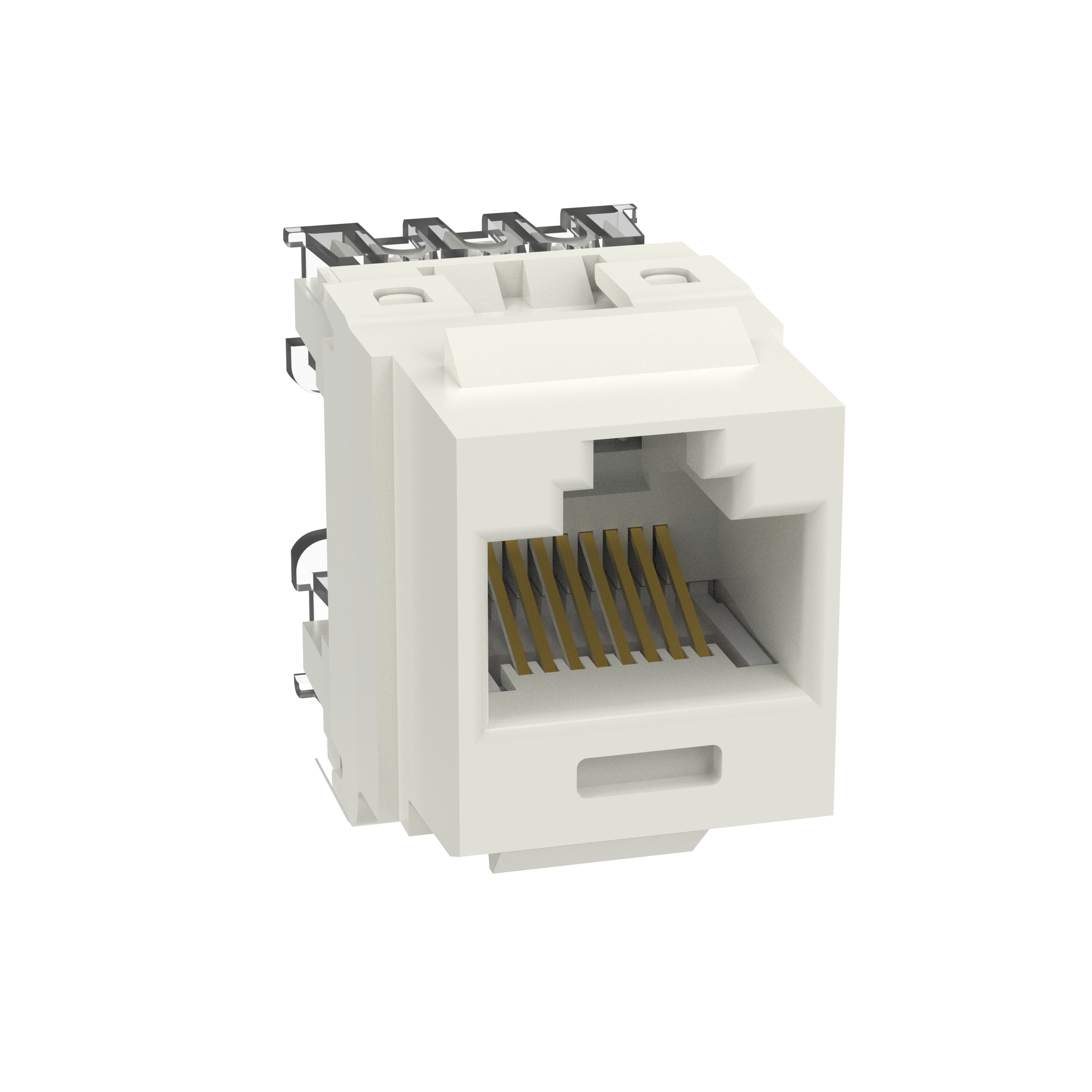 NetKey Cat 6 Punchdown Jack, Int'l White - Pack of 25