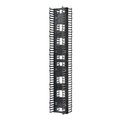 NR VERT CBLMGMT,HICAP,2side,45RU,10"W,EA