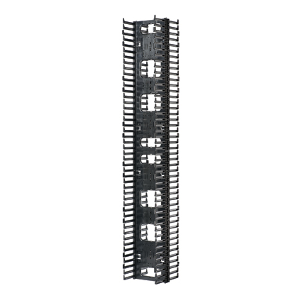 NR VERT CBLMGMT,HICAP,2side,45RU,6"W,EA