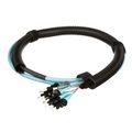 Opti-Core® Pigtail Trunk Assembly