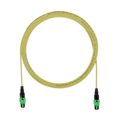 Pan-Net® Fiber Interconnect, LSZH, MPO to MPO
