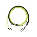 QuickNet™ PanMPO™ Female Trunk Cable Assembly, HD Flex™ Transition