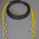 Cable Trunks & Switch Harnesses
